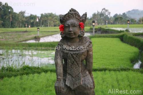 The Chedi Club boutique 34